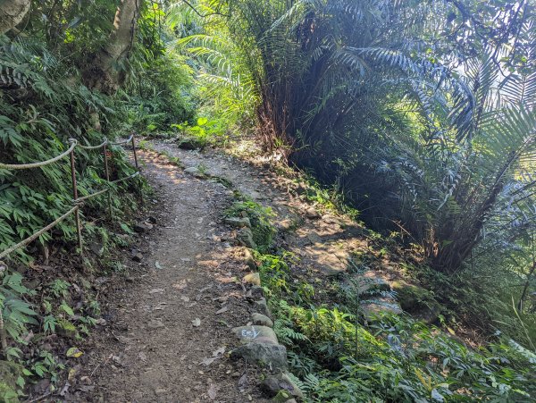 松山慈惠堂→九五峰／南港山／拇指山→糶米古道1622022