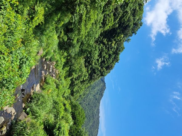 淡蘭北路第四，五段：瑞芳車站到大里車站3105773