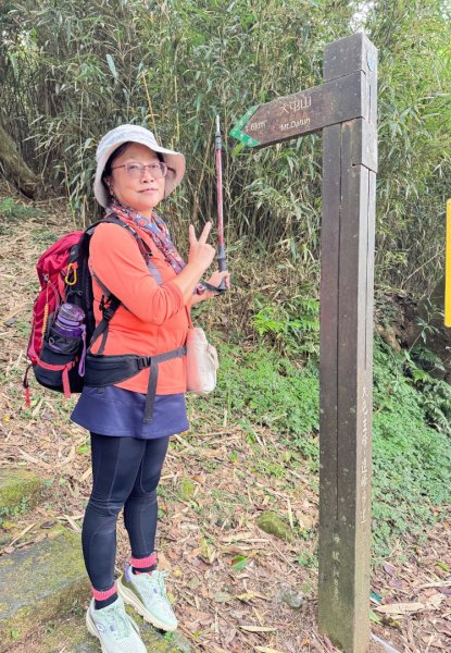 大屯山(小百岳# 001) &小油坑山2898874