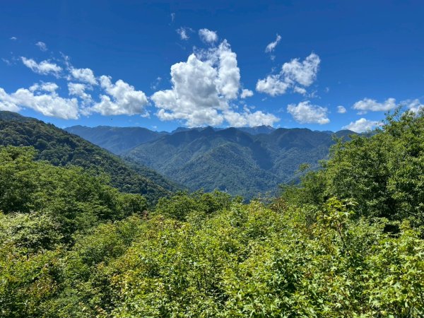 新竹 五峰 觀霧國家森林遊樂區 大鹿林道西線 榛山步道2811366