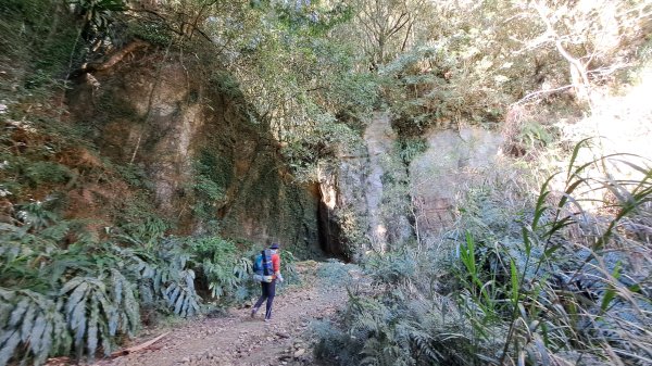 水漾森林、鹿屈山、眠月神木2729634