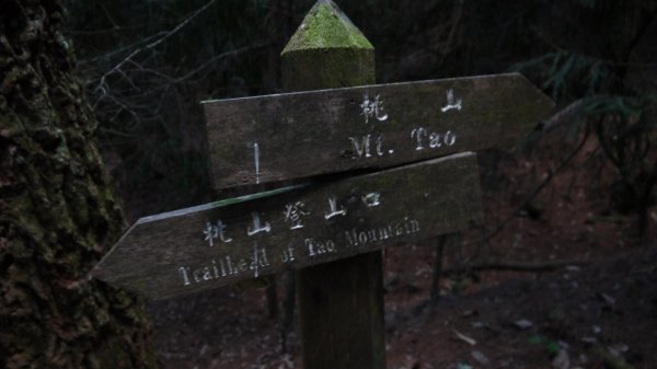 桃山單攻登山健行趣(百岳48號)1541920