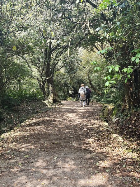 2026-0323 台北大縱走第一段3022621