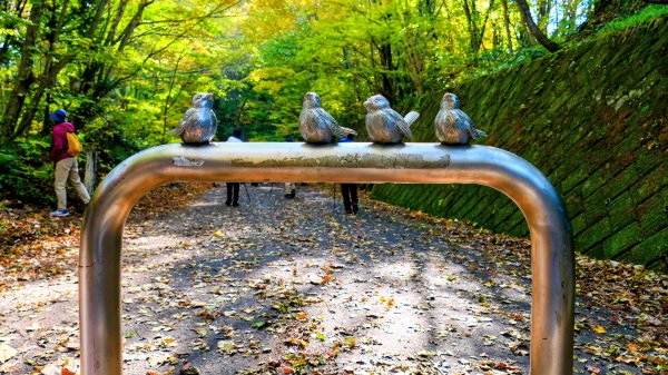 秋田縣白神山地十二湖2929758