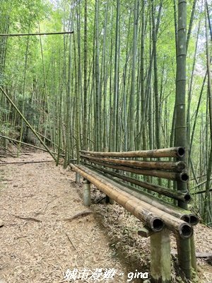 【台中和平】長壽山_肥崠山_山徑3077654