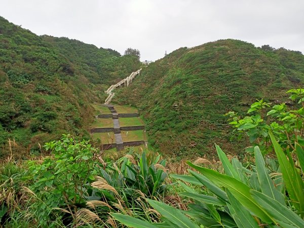 樂以忘憂的忘憂谷步道【南山神壽任務】1962491