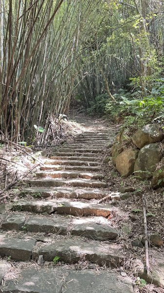 夏日避暑古道→坪頂古圳．坪頂新圳．登峰圳.大崎頭O型2285703