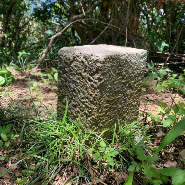 20250621屏東巴士墨山-草埔後山2821405