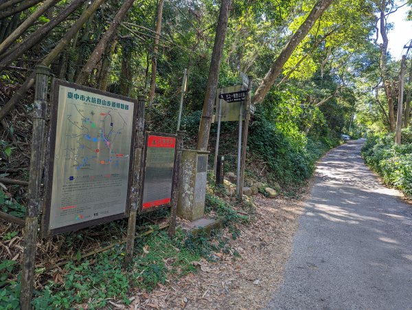 漂亮的五葉松及很有特色的圓木棧道：大坑5-1及5號步道＆頭嵙山（小百岳#41）1879147