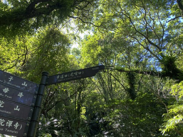 2025微笑山線大縱走尋寶集章任務-Ep.11【五分山系】平溪小黃山段｜慈母峰 × 孝子山2908900