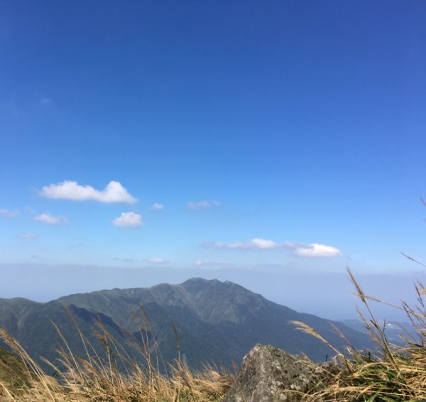 七星山主峰小白岳這個時節欣賞芒花季445498