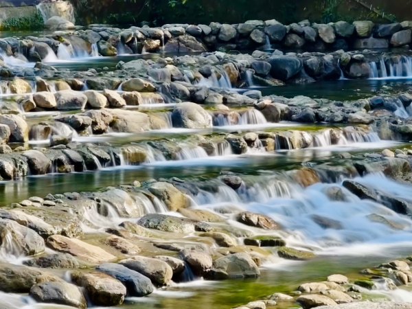 雪山坑登山步道尋巨人2978271