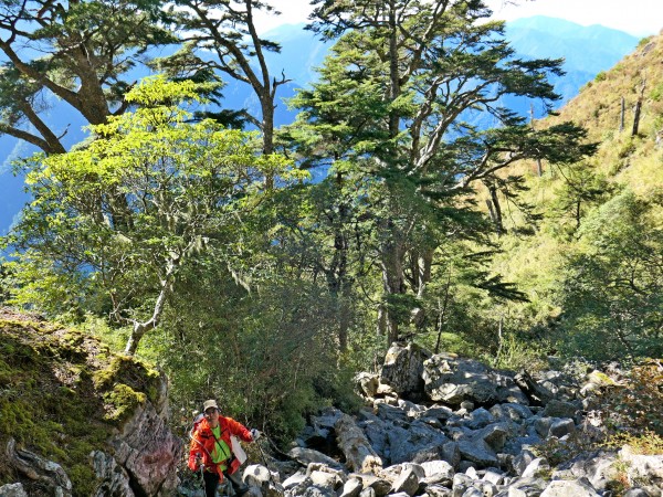 30年後重逢玉山前峰2018/01/01237041