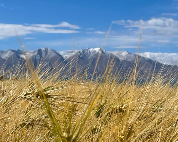 西藏的高山聖湖💙一措再措2907417