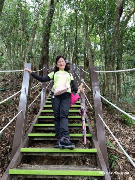 四訪苗栗的花果山-小百岳#037馬那邦山、雪霸國家公園管理處【小百岳集起來、苗栗-臺灣百大必訪步道】2394270