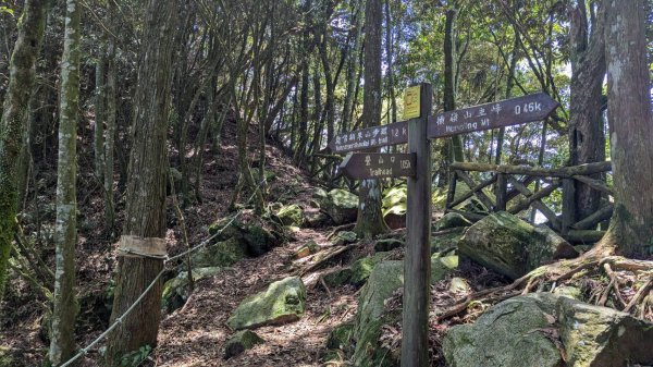 橫沙笛縱走 (木馬古道、橫嶺山、沙蓮山、笛吹山)2550378