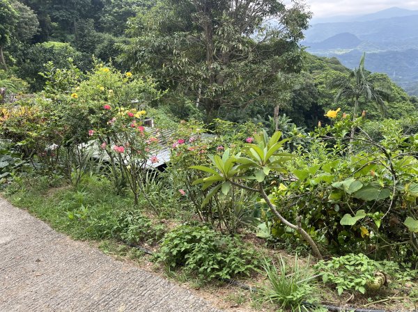 [皮皮獅Hike客任務-02/10] 2024_0720 渡南古道+飛鳳古道2557083