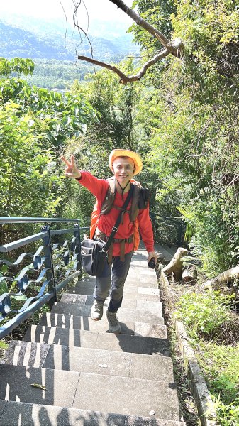 一次解鎖二任務，山頂鳥百山百鳥及新北市微笑山線和美山螢火蟲段2859429