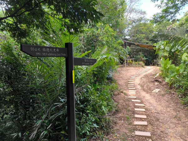 20250824鳶山彩壁2868541