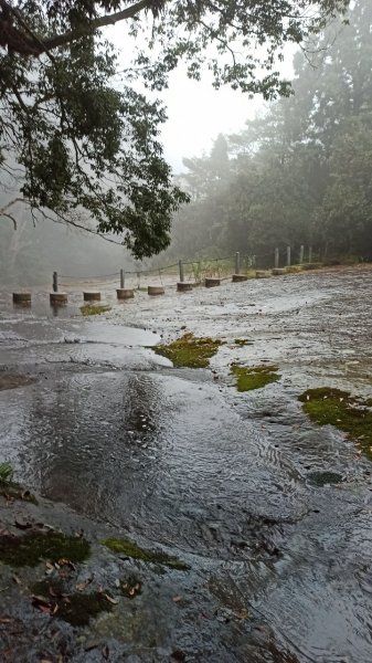 風雨飄搖中的石夢谷、情人谷瀑布步道1134894