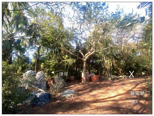 乞食崙 ( 台中/大肚山 )2937407