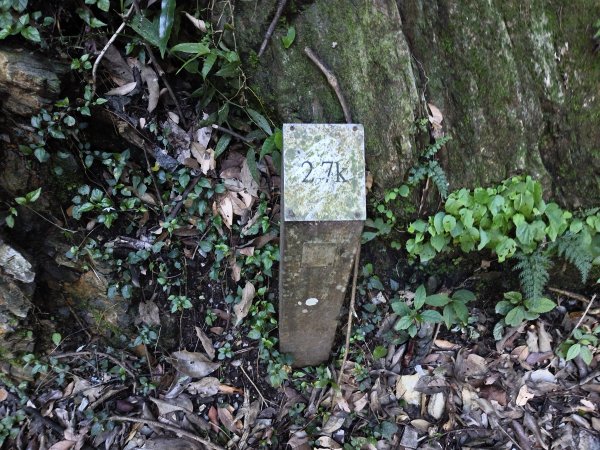 [玉山尋寶任務-07/12] 2025_0824 八通關雲龍瀑布步道2870548