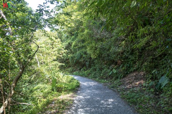 WL 愛旅行【林美石磐】361683