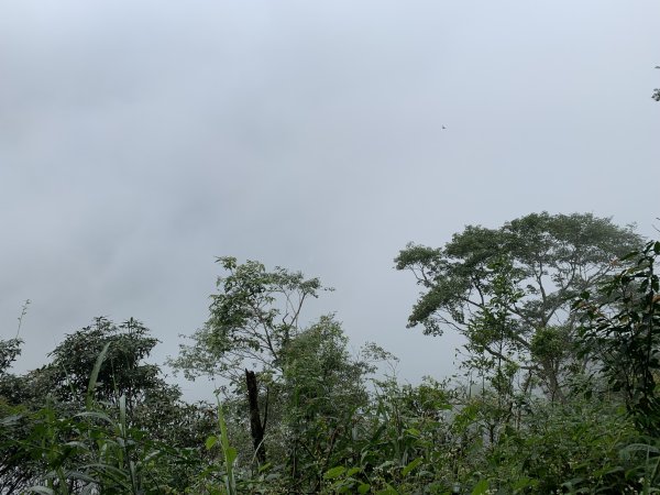 20251010高雄尾寮山-西北峰2913650