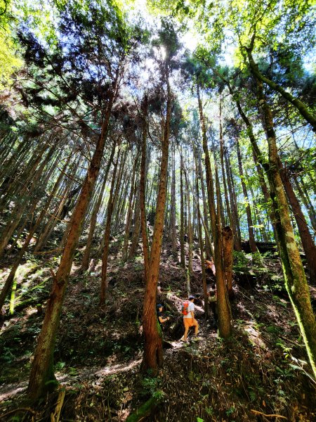 馬崙山1835797