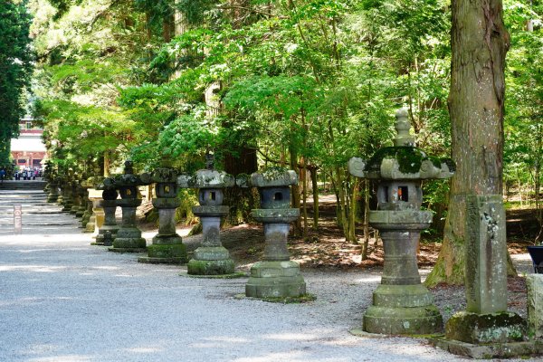 日本 中部 山梨縣 富士山3086306