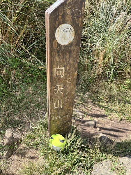 面天山、向天山、向天池2921046