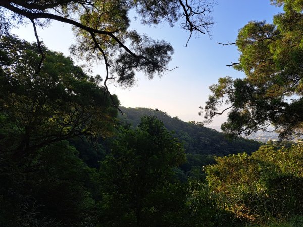 新竹鳳崎落日，司馬庫斯神木群，李崠山步道3131071