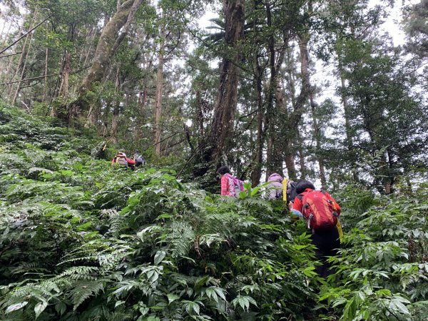 20251220嘉義凸龜山-芙蓉山-天福山2973800