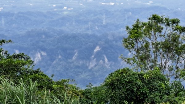 20241219 關子嶺枕頭山2675363