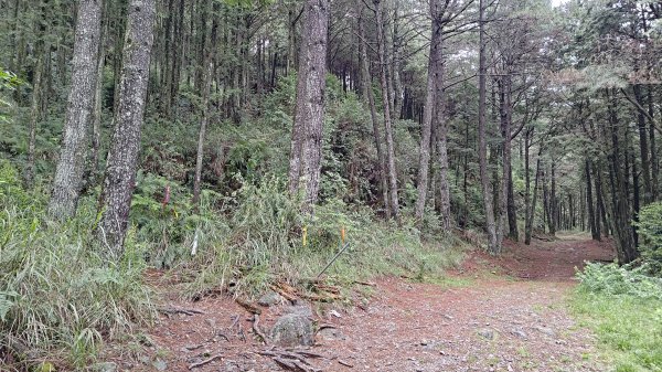 北三錐山3085626