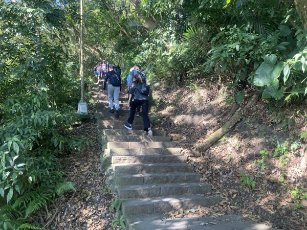 觀音山硬漢嶺登山步道+北橫古道+尖石步道2402129