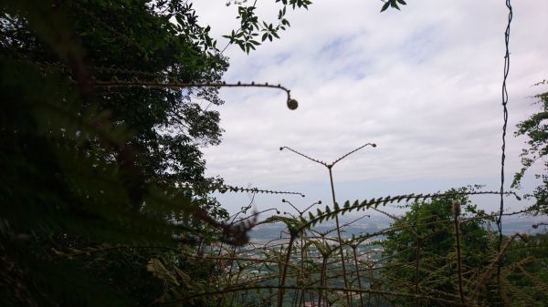 打鐵寮古道-石厝坑山-白石山306084