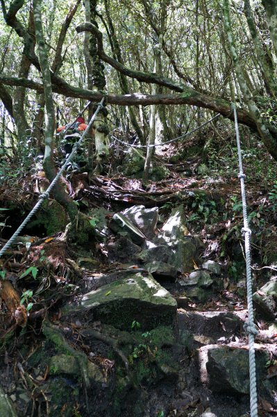 沙蓮山、橫嶺山981528