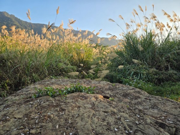 2025-12-30  南化牛港嶺點將石2972712