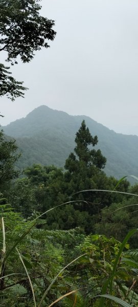 新店桂山路197巷-產業道路-幽靜山路-潺潺小溪-幽靜山路-原路折返2321887