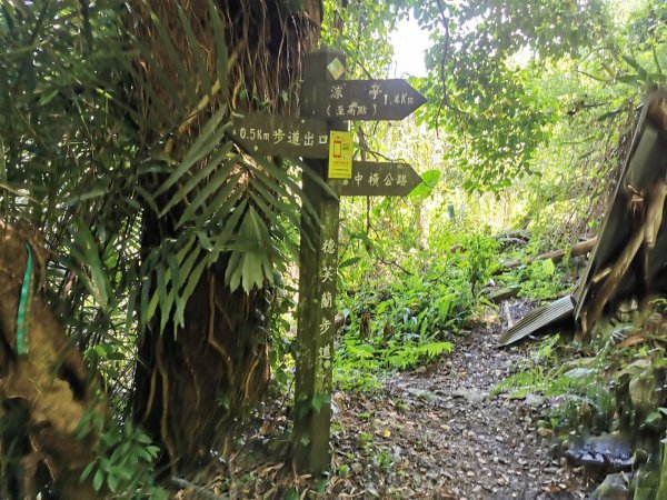 德芙蘭生態步道-綠蔭遮陽，涼風徐徐避暑道1049627