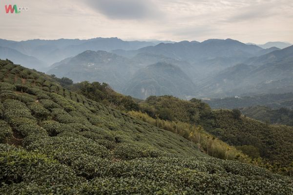 WL 愛旅行【雲嘉七峰】283537