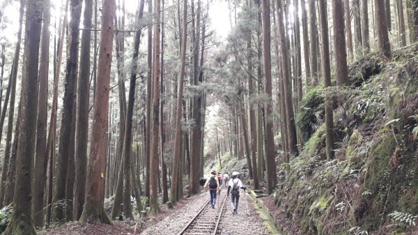 二萬坪步道1058481