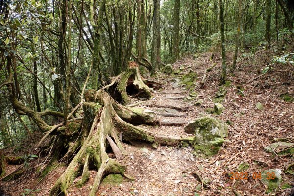 臺中 和平 鞍馬山1697265