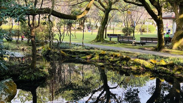 陽明山橫嶺古道|搭公車就能到京都嵐山竹林美景||澄園秘境賞梅前山公園悠閒野餐1603376