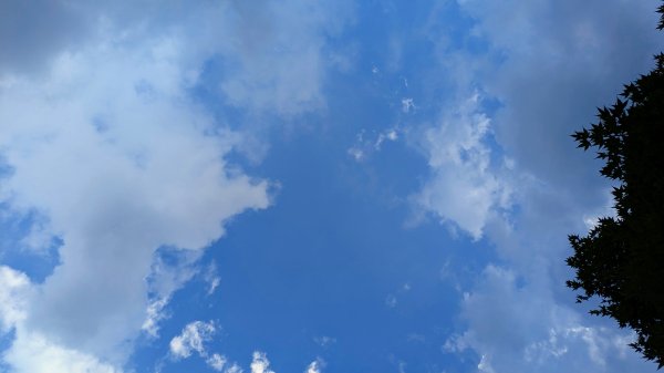 福山部落,內洞森遊區2552345