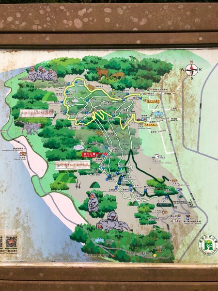 2020.10.01南壽山1119726