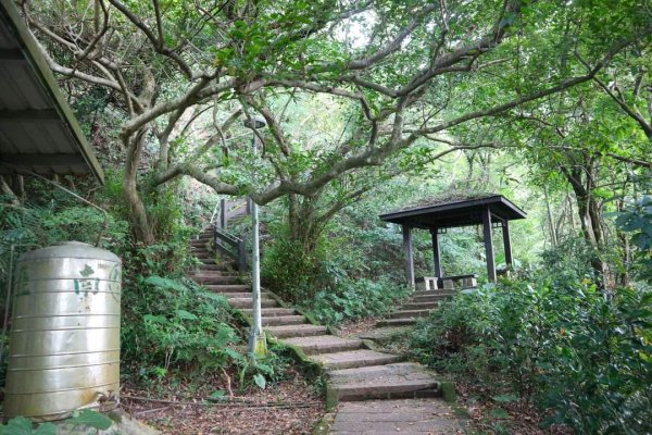 小百岳NO.13南港山，南港山北峰，九五峯2285604