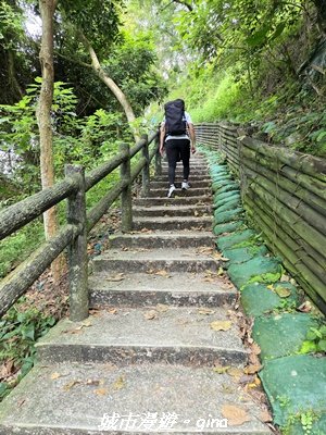 【台中北屯】大坑1號步道3095046