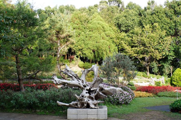 新竹 五峰 野馬瞰山2924656